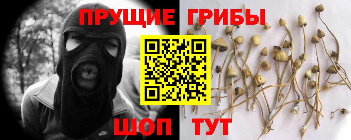 Нижнеудинск  Псилоцибиновые грибы GOLDEN TEACHER  Вход с VPN 