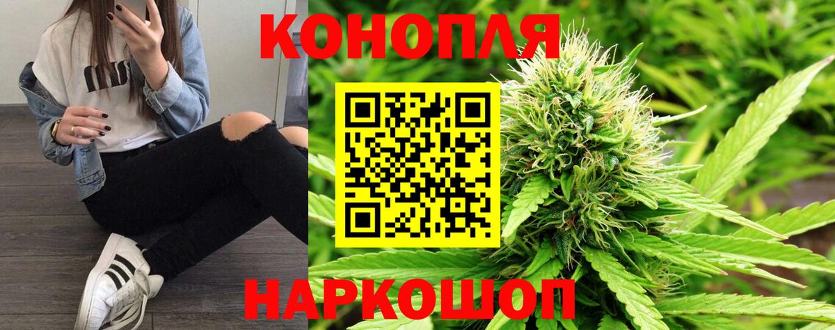 МАРИХУАНА конопля Нижнеудинск